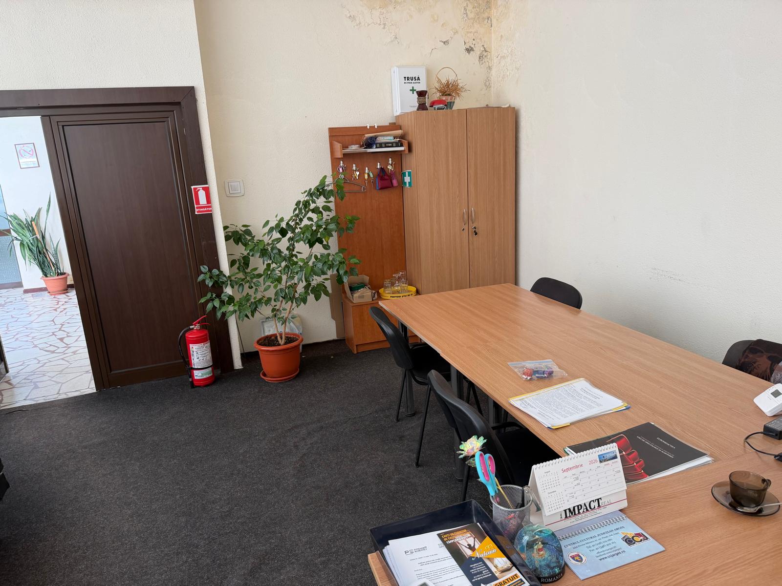 Spațiu Multifuncțional